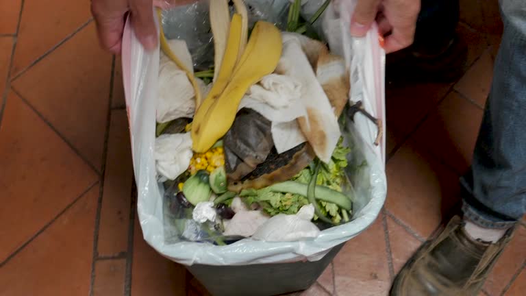 Reliable Palm Springs, FL Junk Removal Services Solutions